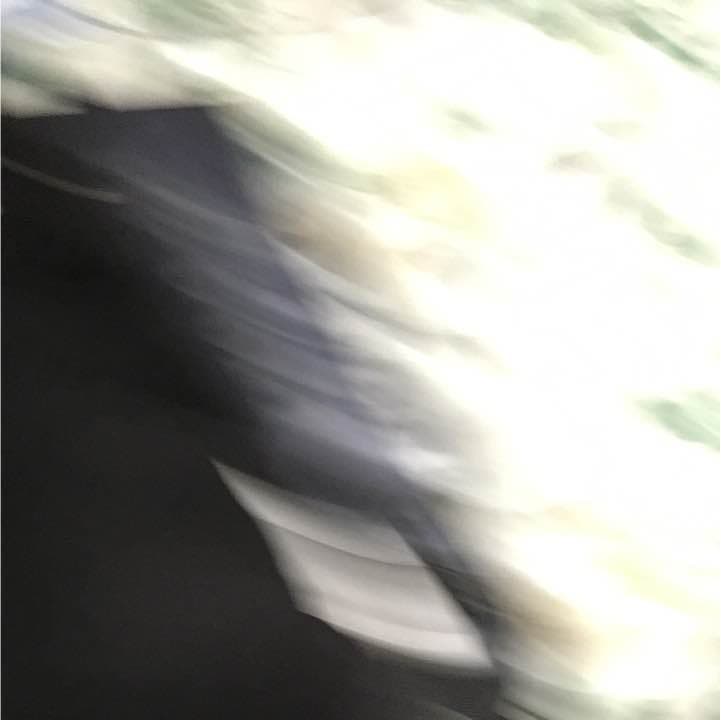 Teikyoリック型バック