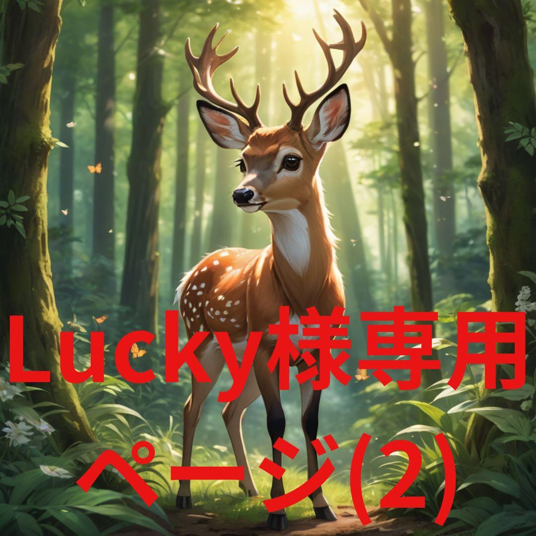 Luckyページ2