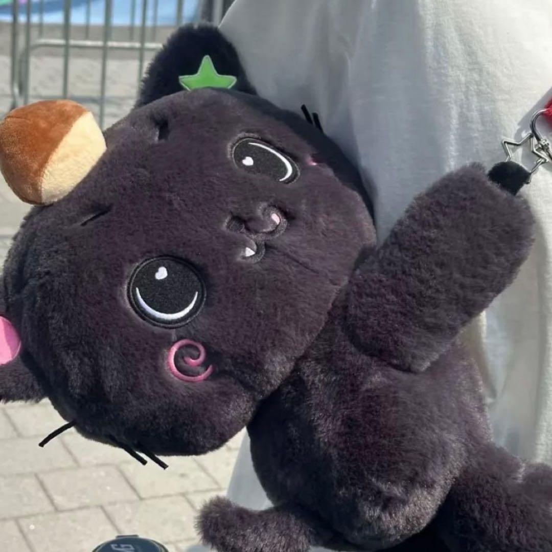 NCT WISH ソウルコン　バッグ　トレカ付き　リク