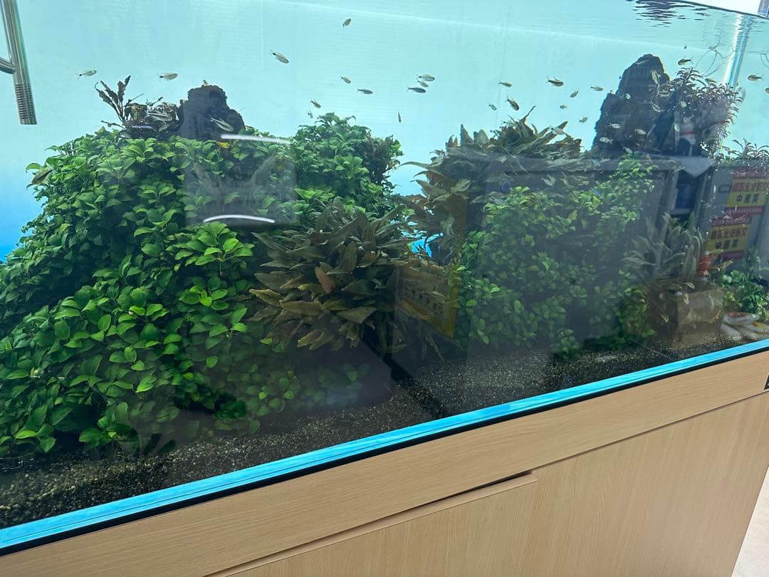 ADA LIGHT SCREEN W60×H36cm 新品未使用品