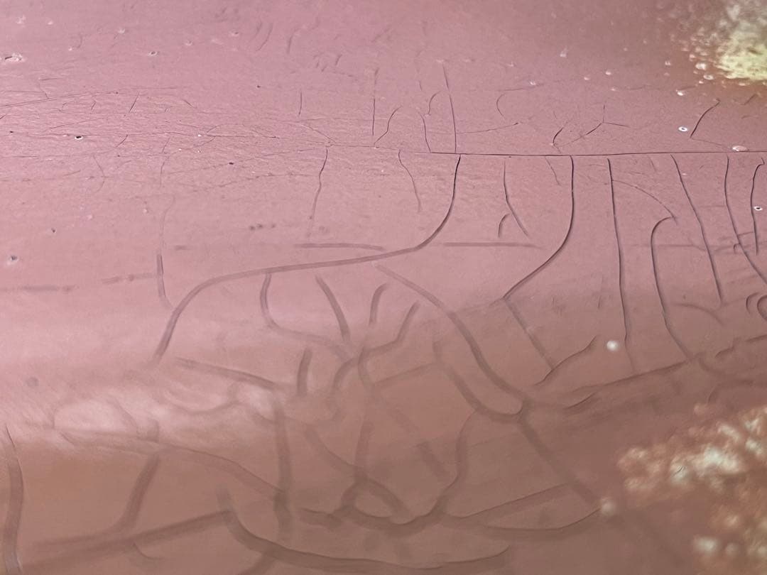 ア*ト様 DeliciousTaylormade シャンベルタン　クロドベーズ