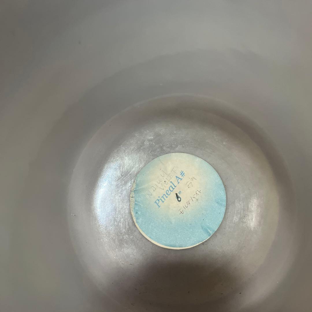 クリスタルトーンズ　６インチA#+4モルダバイトボウル