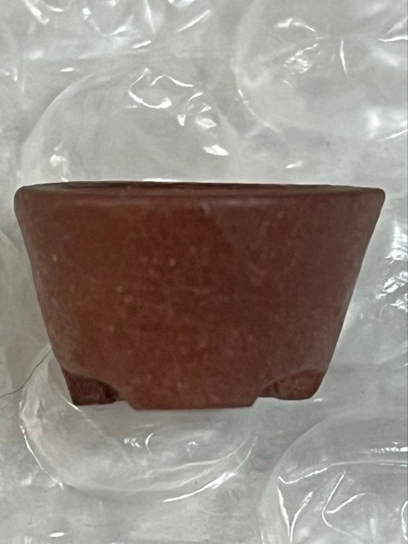 盆栽鉢　植木鉢　陶芸　園芸　盆栽