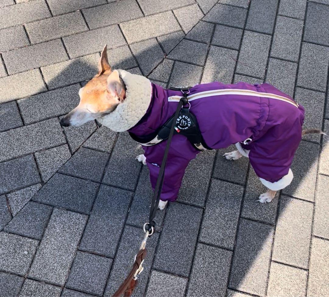 grindog H2 スノースーツ