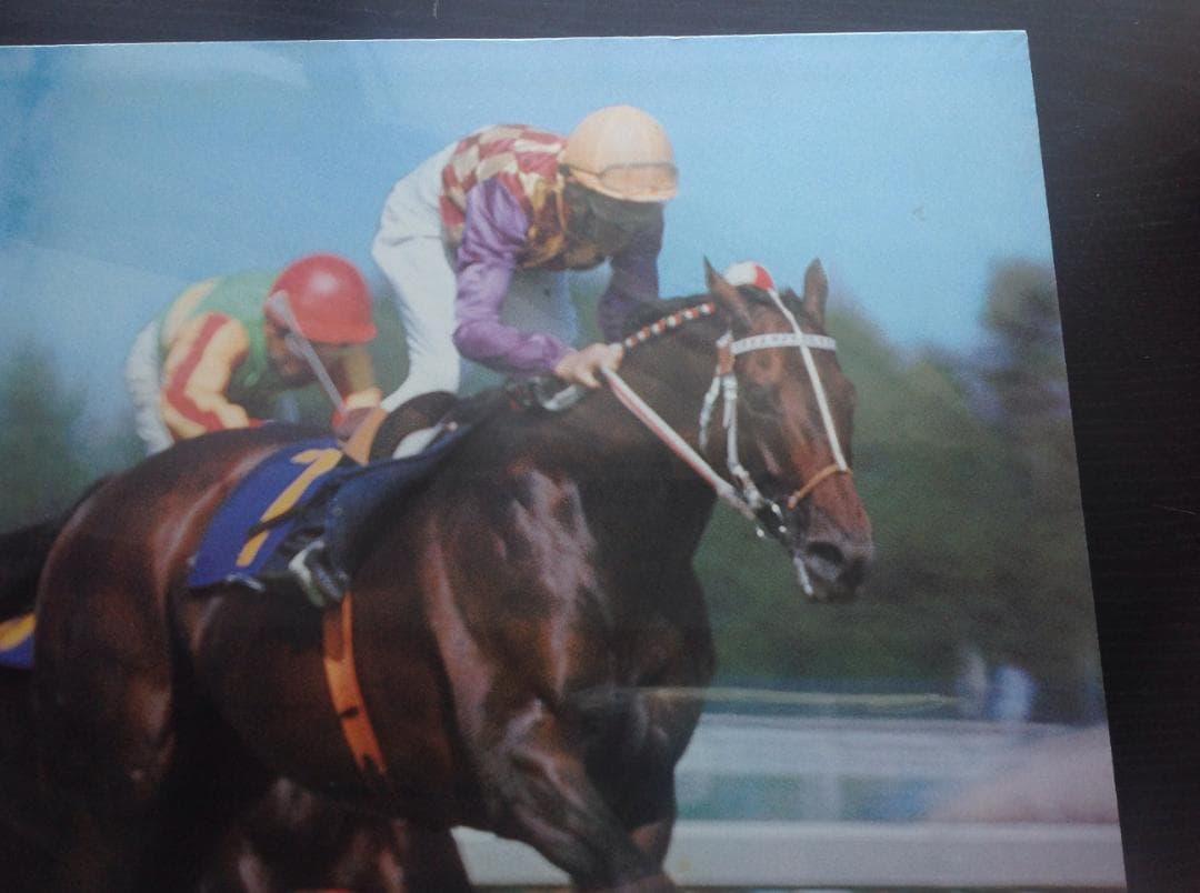 競馬パネル：トウショウボーイ「1977年 第7回高松宮杯」※カラー直線