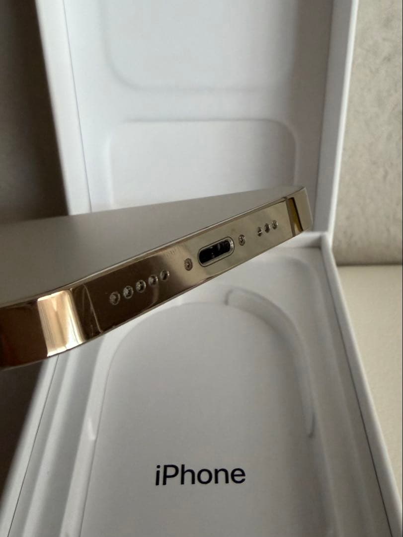 Apple iPhone 13 Pro ゴールド 本体＋充電ケーブル