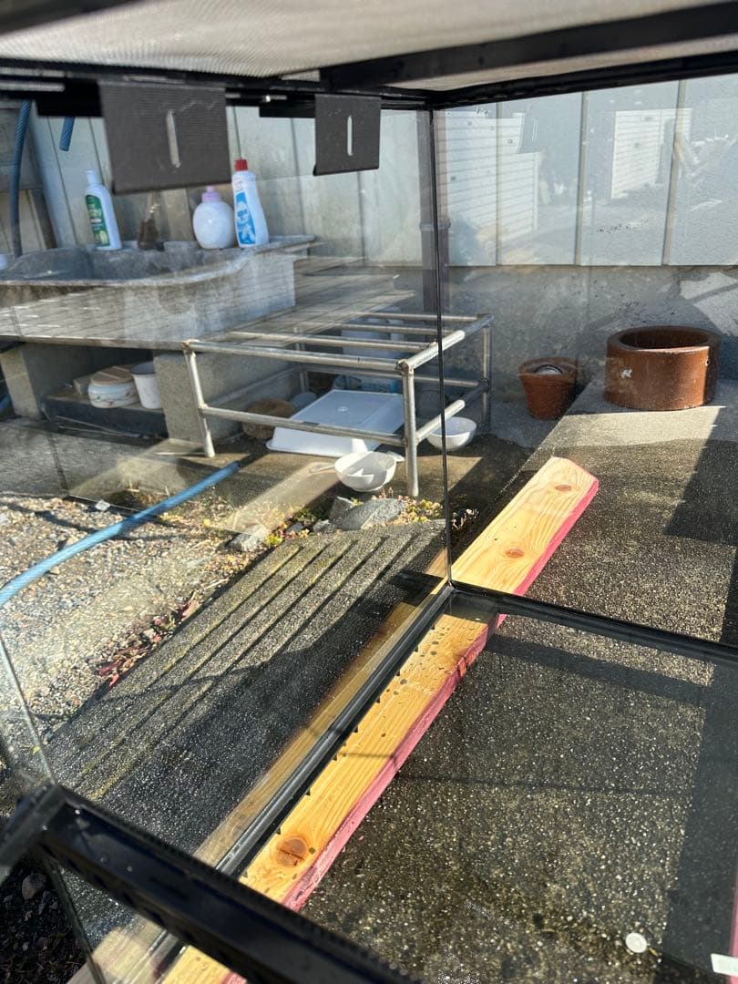 桃愛GEX グラステラリウム　6045