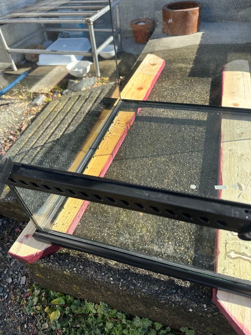 桃愛GEX グラステラリウム　6045