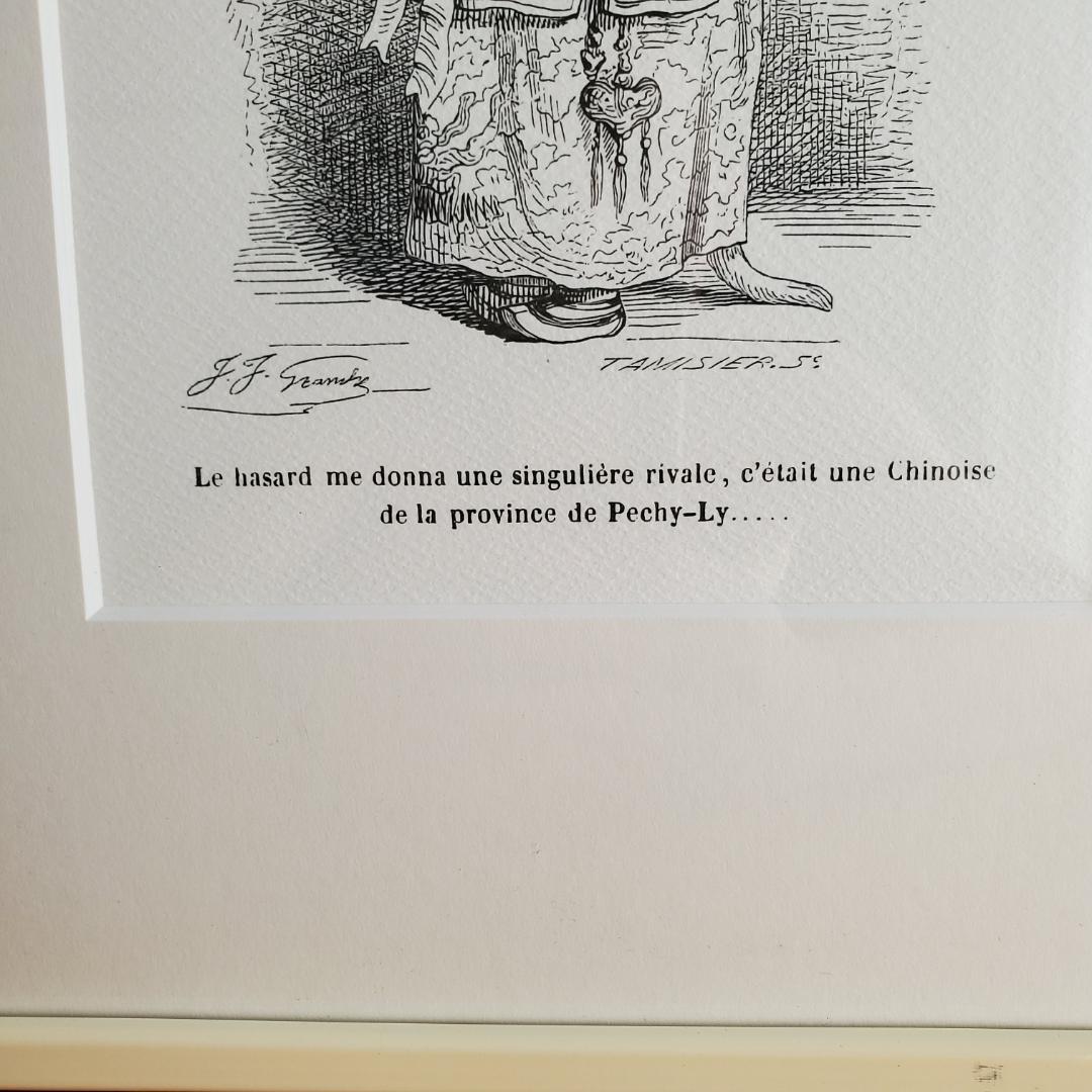 J.J. Grandville 動物たちの私生活・公生活の情景 額装 中国 猫