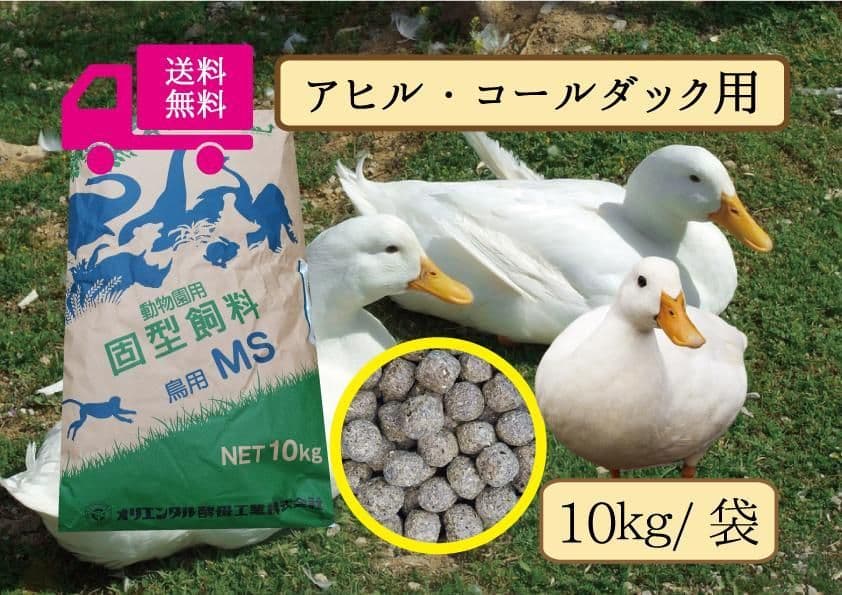 ★送料無料【アヒル・コールダック用飼料・ペレット】10kg 大袋