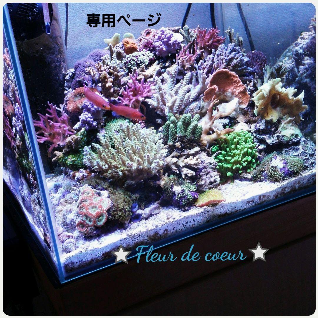 専用ページ★バターリャパライバトルマリン&パパラチペンダントトップ18金★