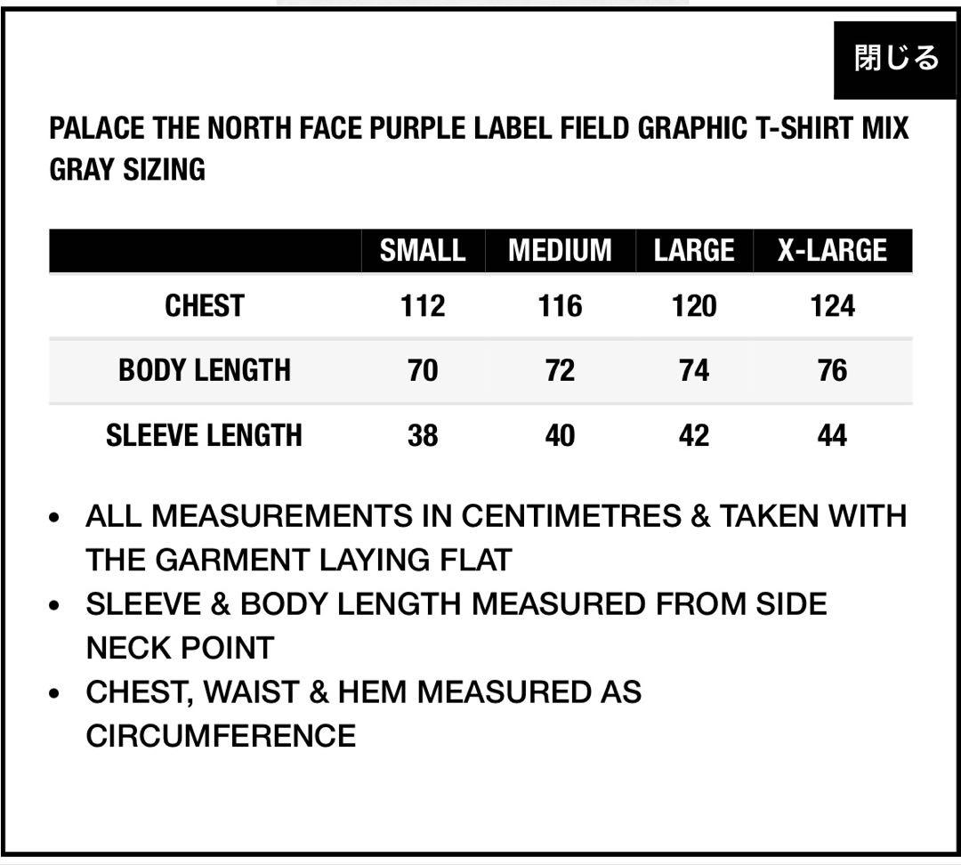 トップス PALACE x The North Face Tee gray