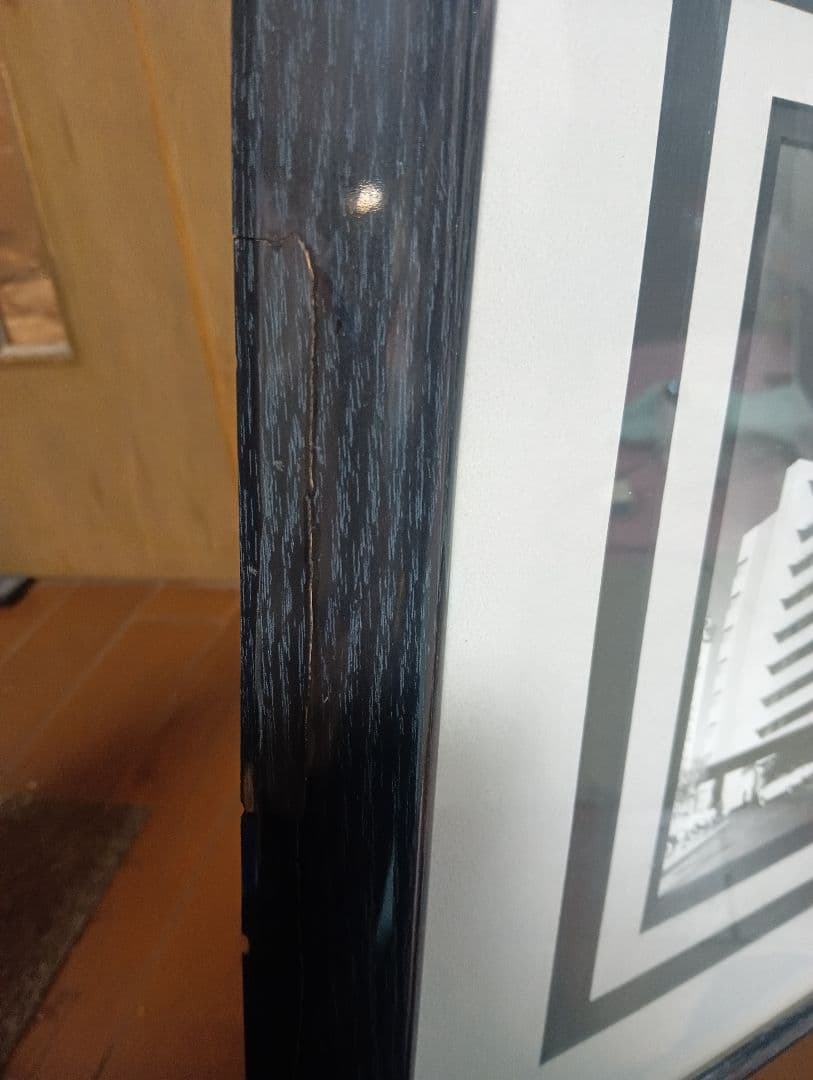 LIBERACE & ELVIS リベラーチェ＆エルビス プレスリー RIVIE