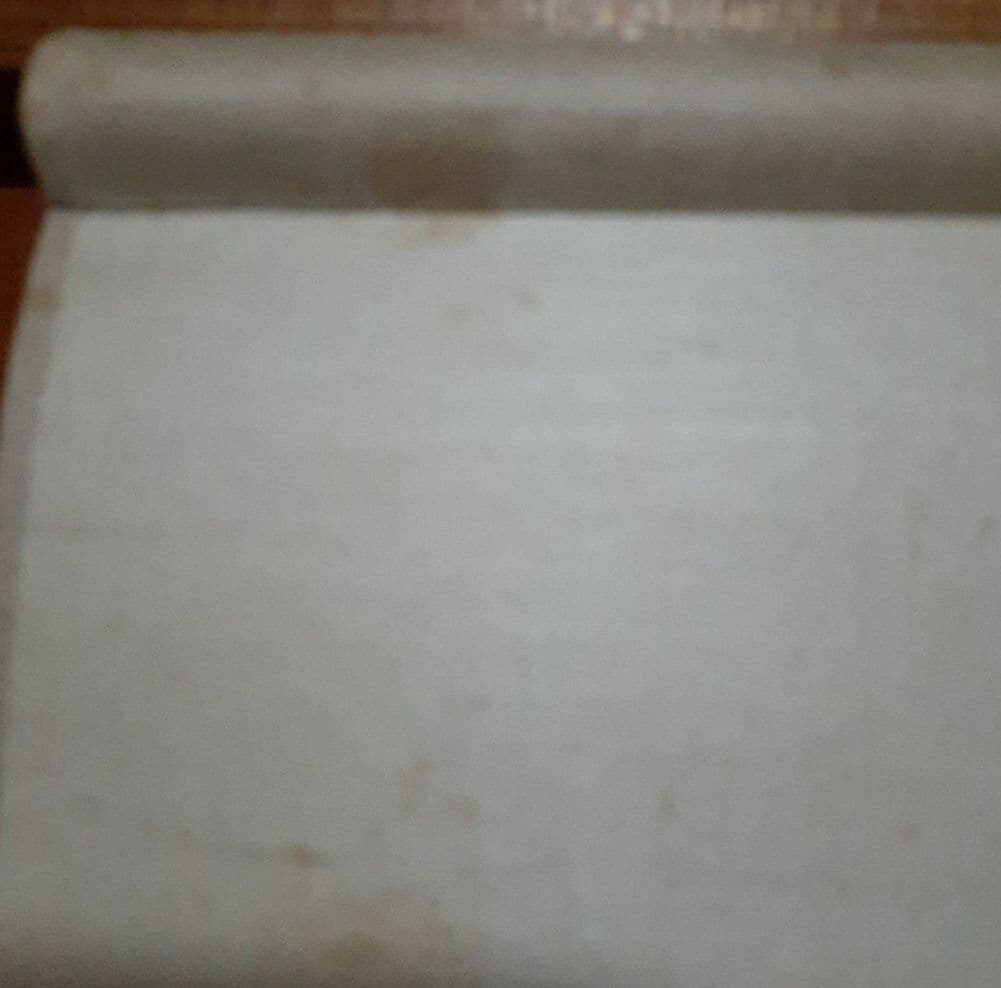 掛け軸/宮本武蔵図