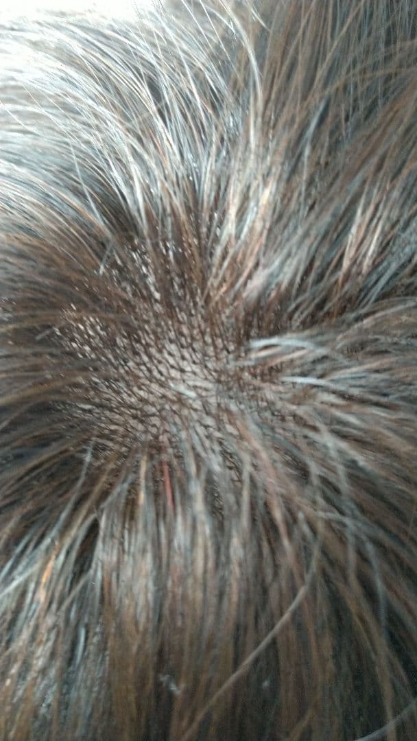 マダムヒロコ フルウィッグショ－ト ナチュラルブラウン 未使用に近い 総手植え