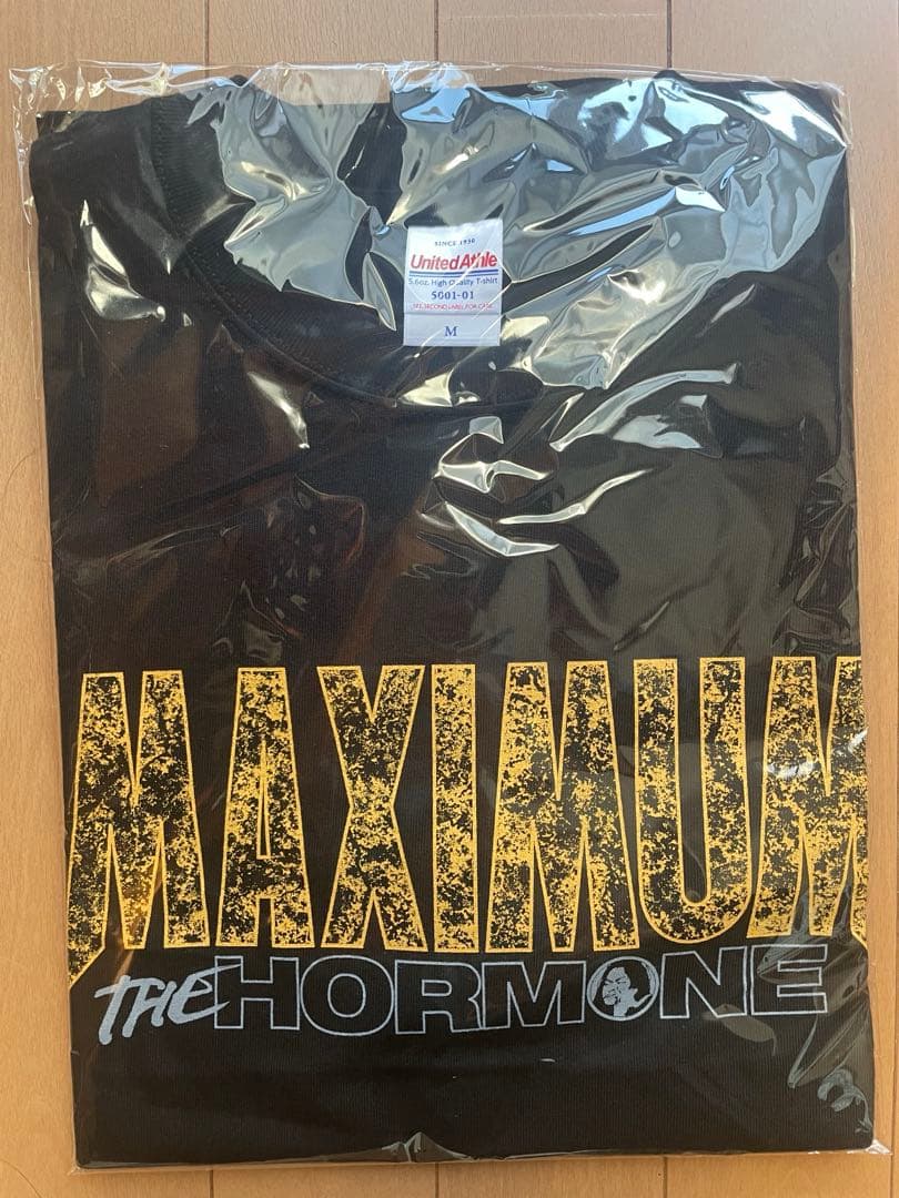 マキシマム ザ ホルモン 生還者Tシャツ　メンカタコテリズン　福岡　Mサイズ