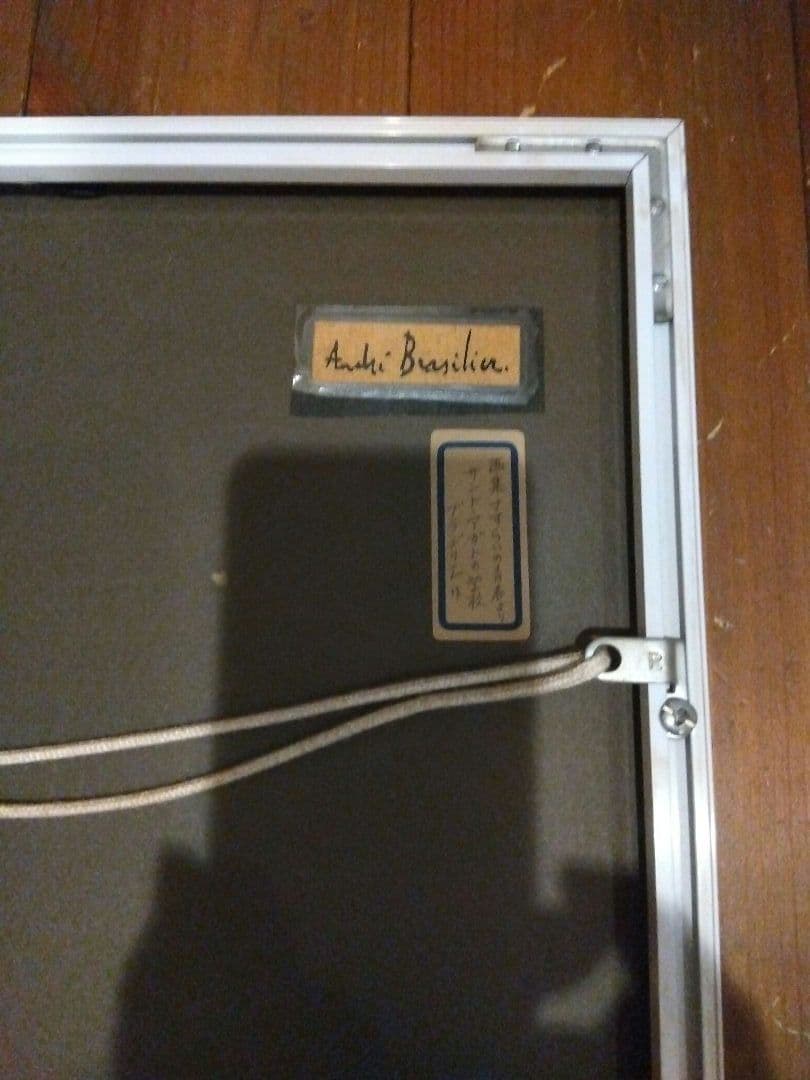 ブラジリエ　リトグラフシート