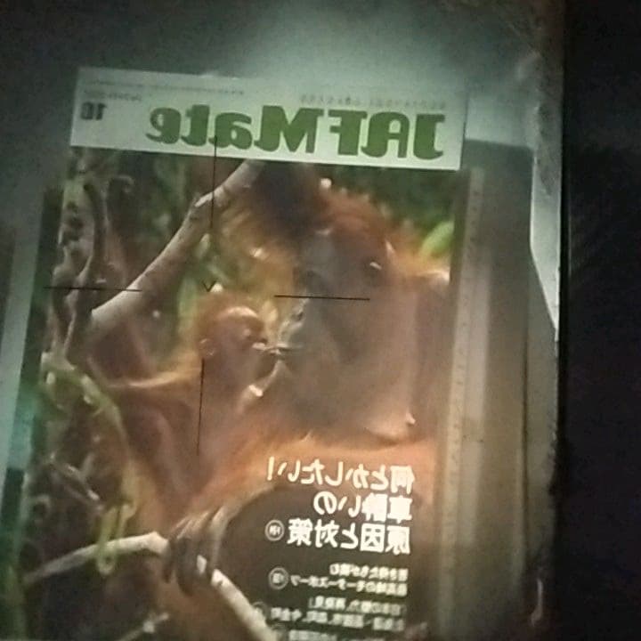 ハッセルブラッド HASSELBLAD TELEVAR　超望遠！