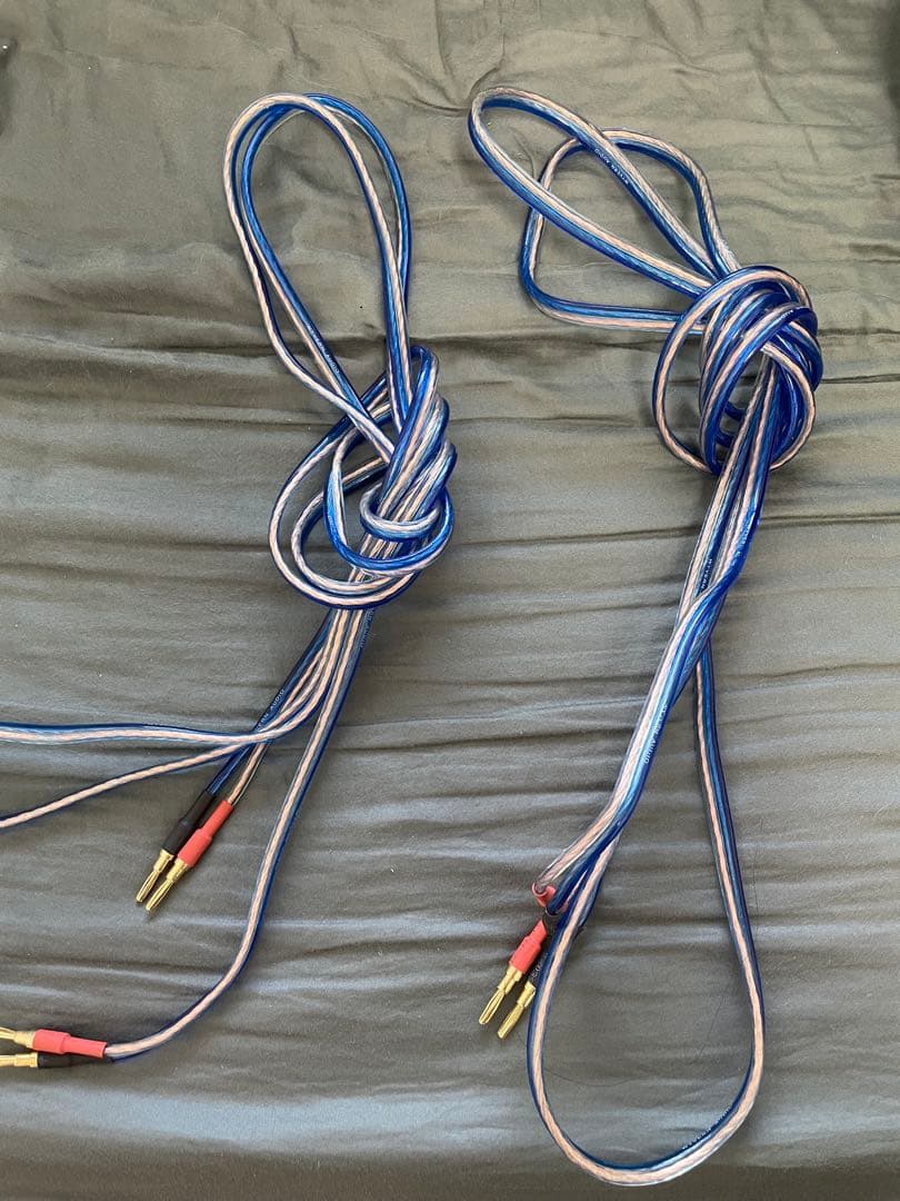 DALI ダリ OBERON1＋@