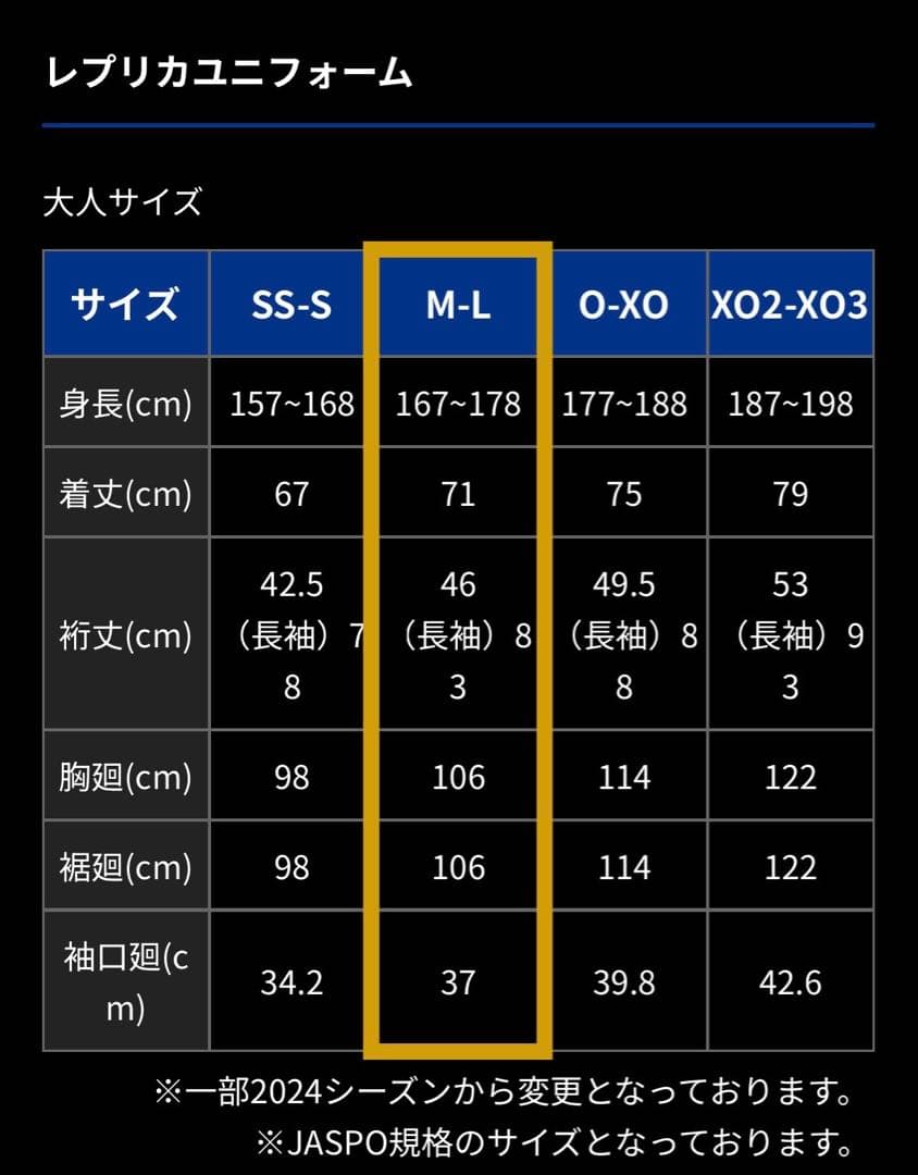 ガンバ大阪 2025 ユニフォーム #20 中谷進之介 MLサイズ