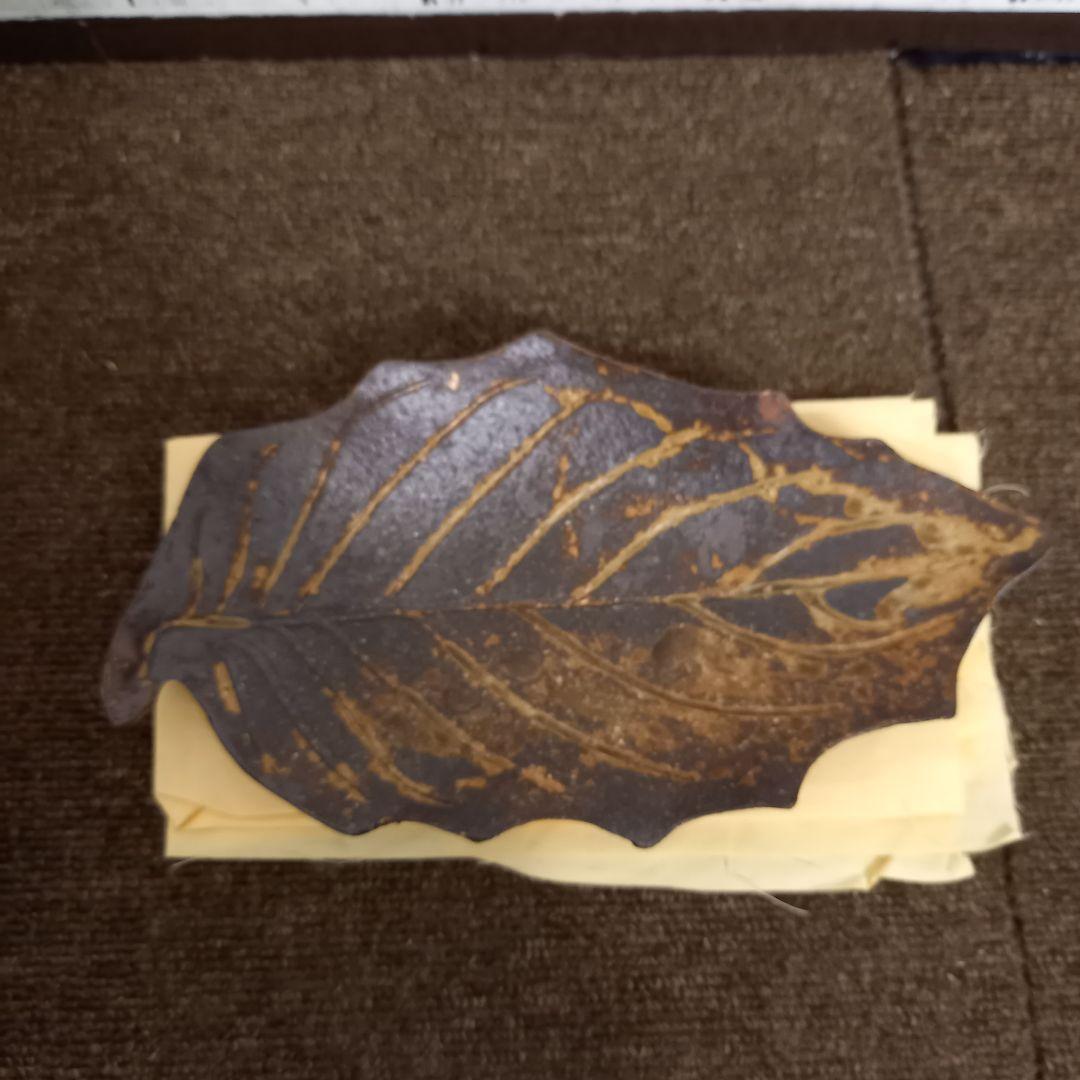 【未使用】其中窯 河村又次郎 灰釉葉皿