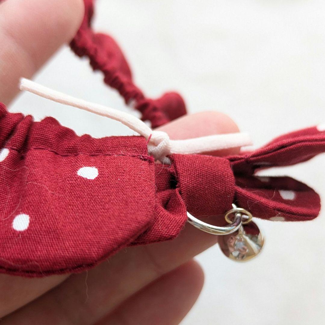 ♡にゃんこのザビエル首輪♡女の子カラー