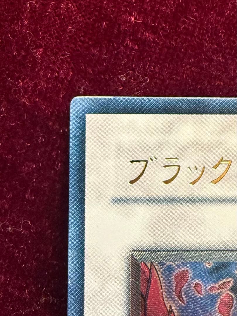 ブラックローズドラゴン レリーフ