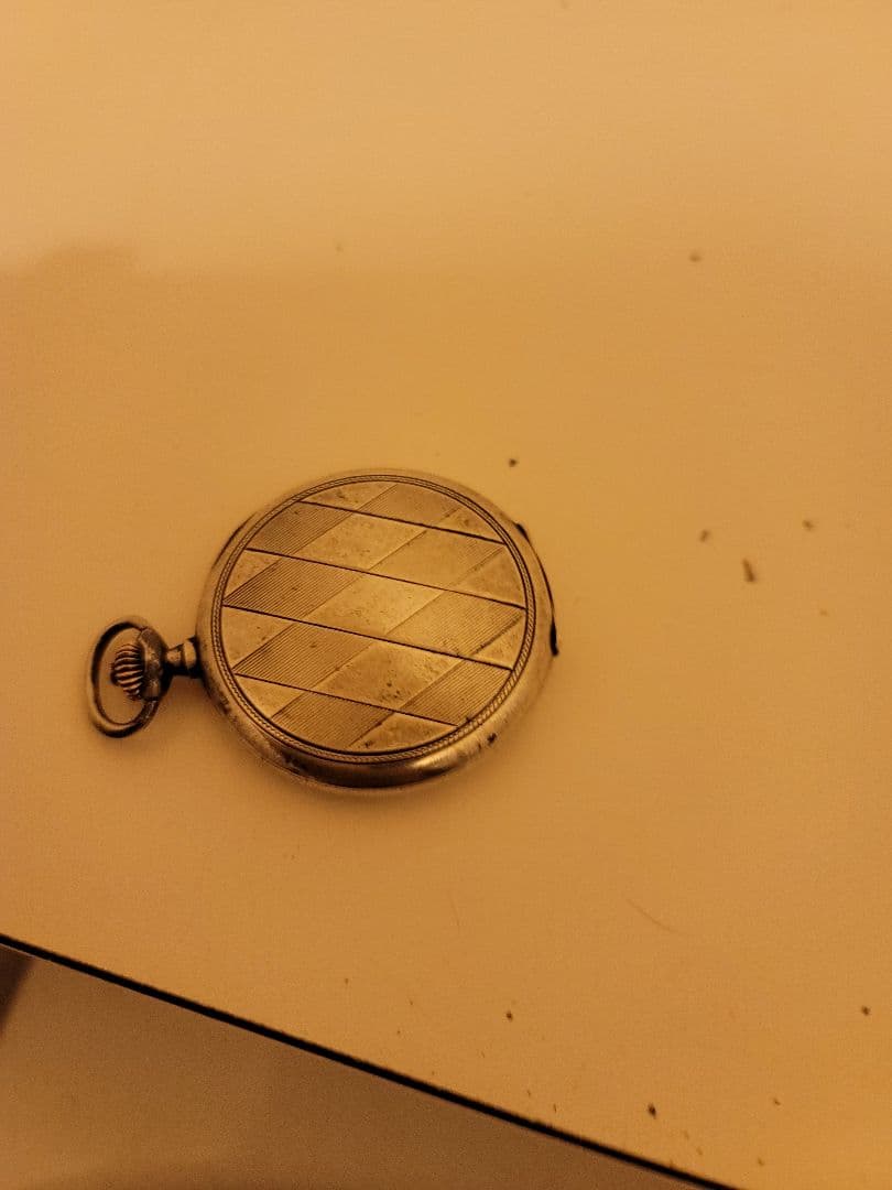 劇レアFanghany 1920年製　シルバー900