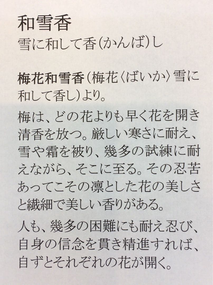 裏千家淡々斎直筆　梅画賛　和雪香　色紙幅　14代千宗室の茶掛け掛軸　お茶道具