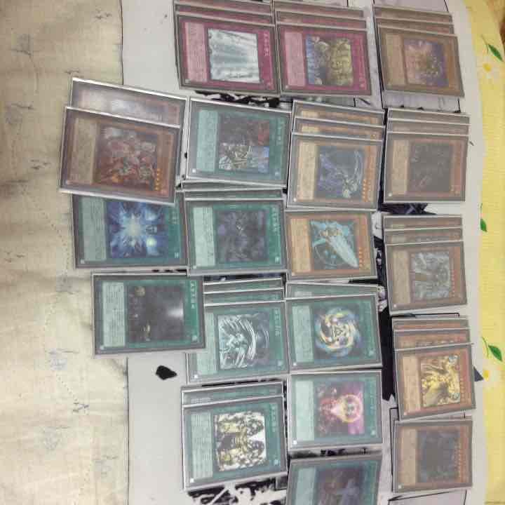 AF帝 公認大会優勝経験 多数