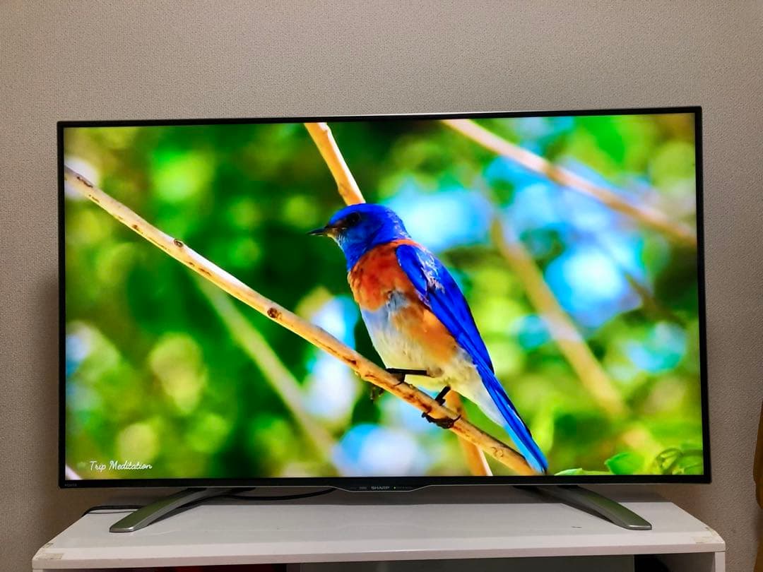 美品 SHARP 50インチ 4K 液晶テレビ LC-50U30 50型