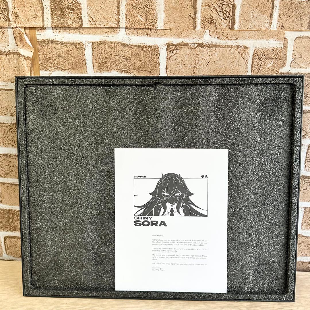 ゆ*じ様 SKYPAD 3.0 XL SHINY SORA 美品