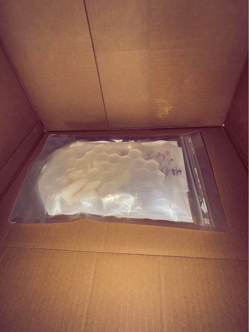 グリズリーパンダ　式波・アスカ・ラングレー