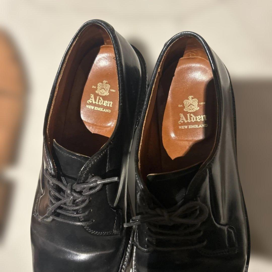alden 9901 コードバン