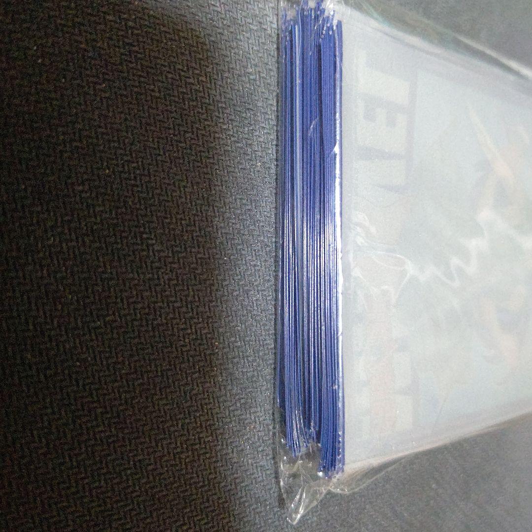 ブシロード 金銀キャンペーン フェアリーテイル ウェンディ スリーブ