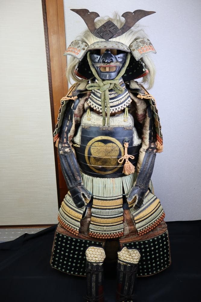 チワワさん専用　等身大　武田信玄調の甲冑