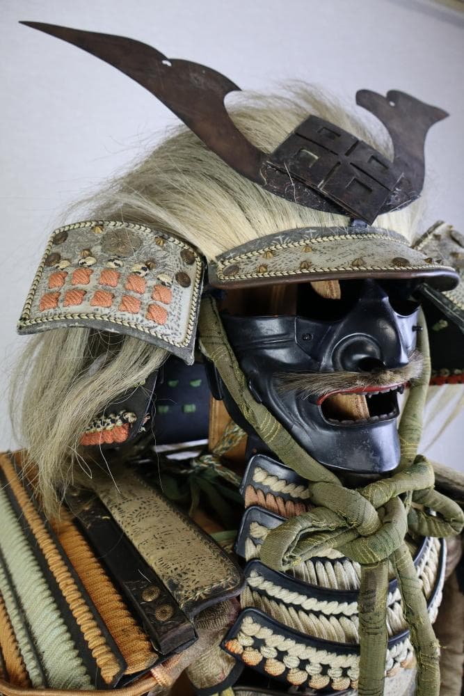 チワワさん専用　等身大　武田信玄調の甲冑