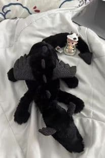  ブラックドラゴン ぬいぐるみ