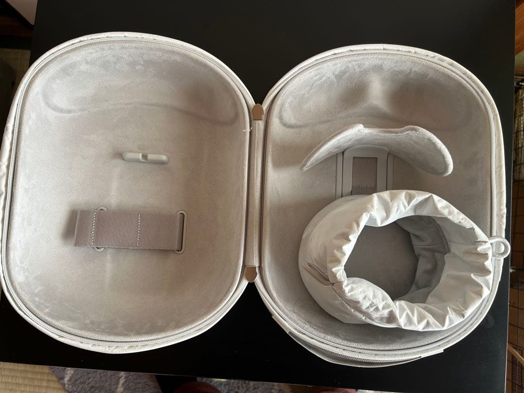 Vision Pro Apple ケース