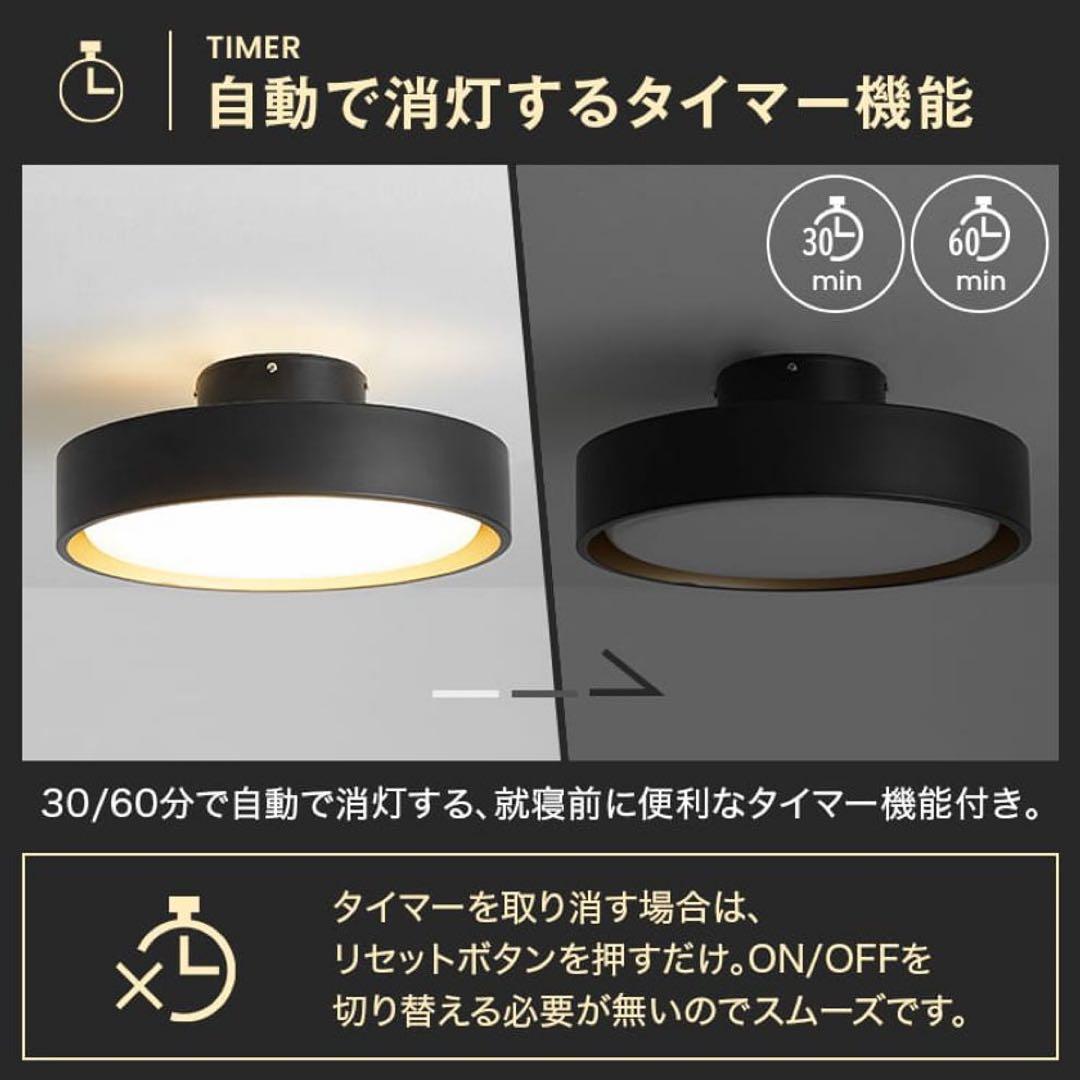 円形ブラックシーリングライト