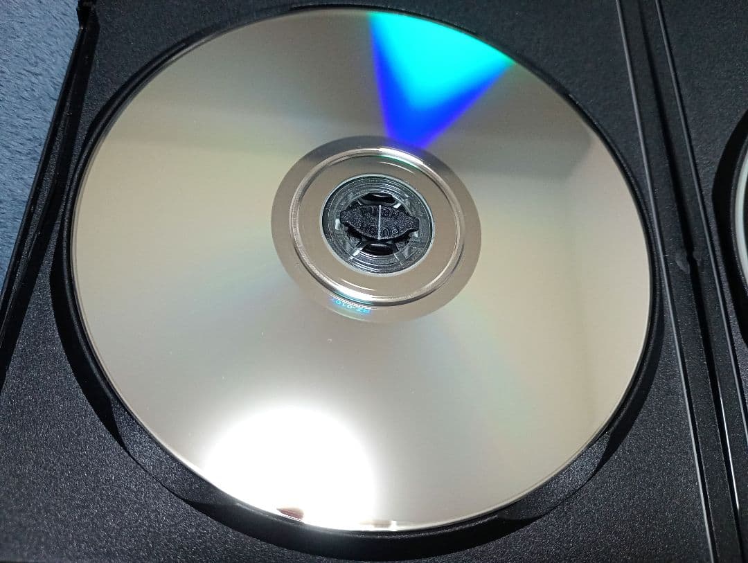 2DVD THE NOVEMBERS 11th Anniversary 美しい日