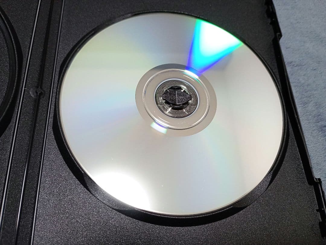 2DVD THE NOVEMBERS 11th Anniversary 美しい日