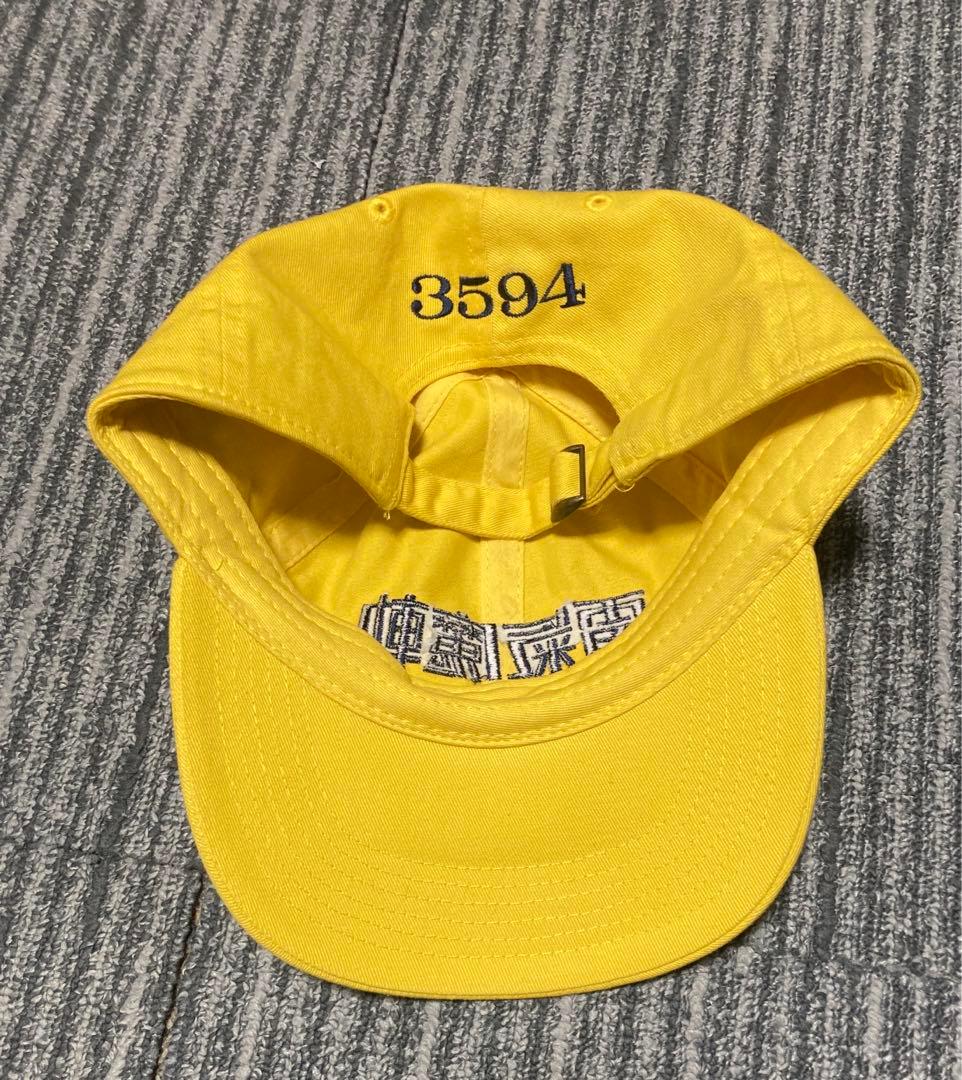 電気グルーヴ 3594 35周年 電気魔軌　刺繍　限定　キャップ 2024