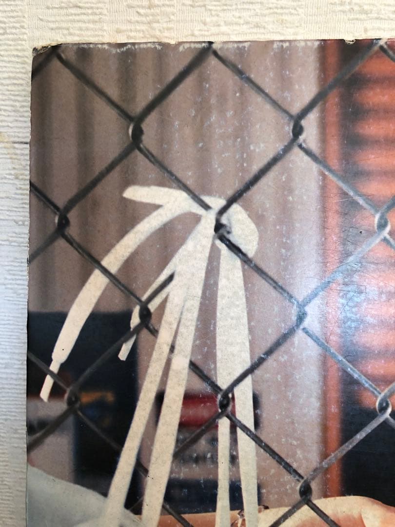 BoA 非売品　レア　パネル　スケッチャーズ skechers ②ボアちゃん近し