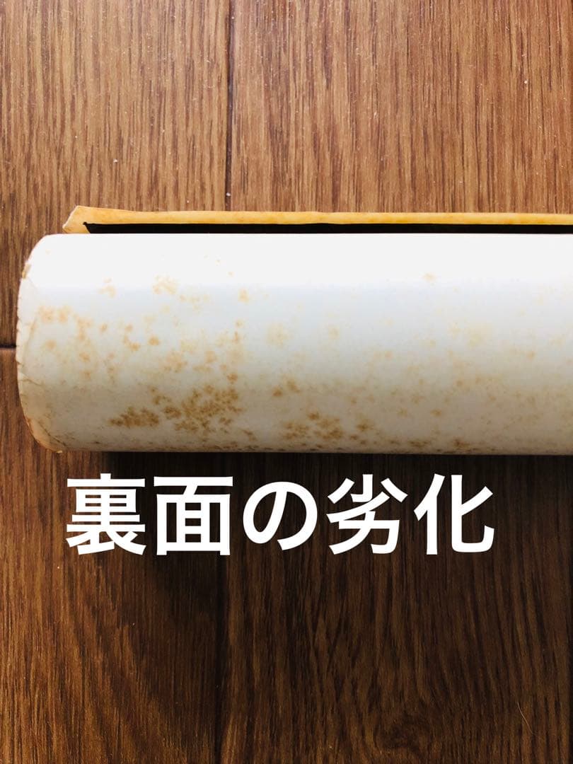 ハワイの美女モデル・アグネス・ラム大判ポスター by SHIN IKEDA ！