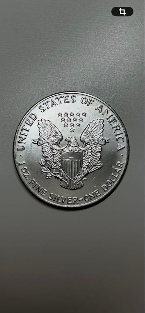 1991年イーグル•ウォーキングリバティ」純銀1オンス銀貨