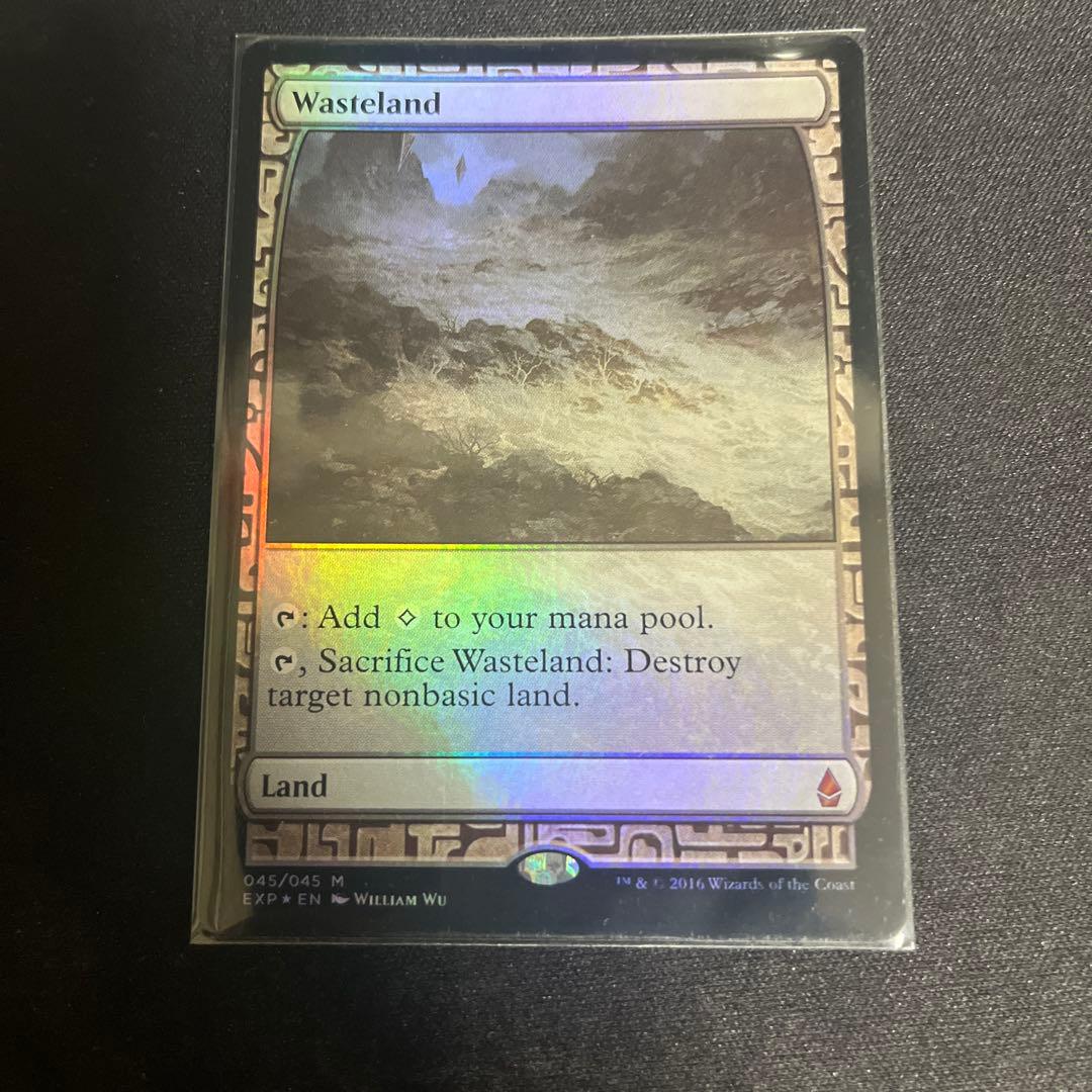 不毛の大地 exp マスターピース 1枚