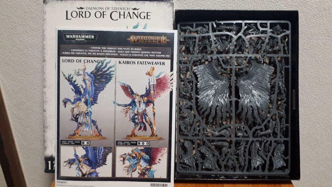 warhammer Disciples of Tzeentch ジャンクセット