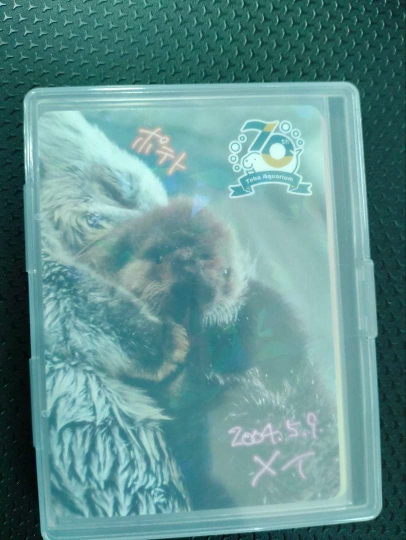 p*読様 【激レア】鳥羽水族館　コレクションカード　メイ　ポテト　ラッコ　赤ちゃ