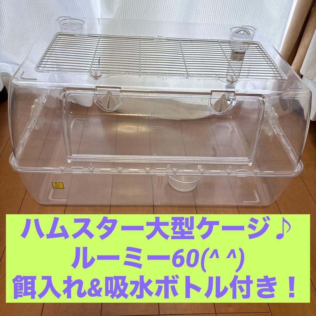 ハムスター大型ケージ♪ ルーミー60(o^^o)